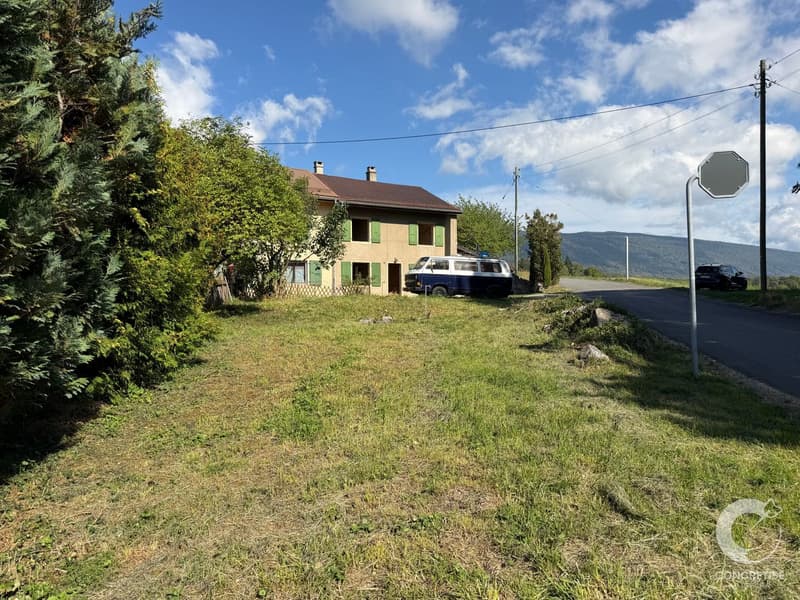 Maison à transformer - une belle opportunité à Gimel (3)