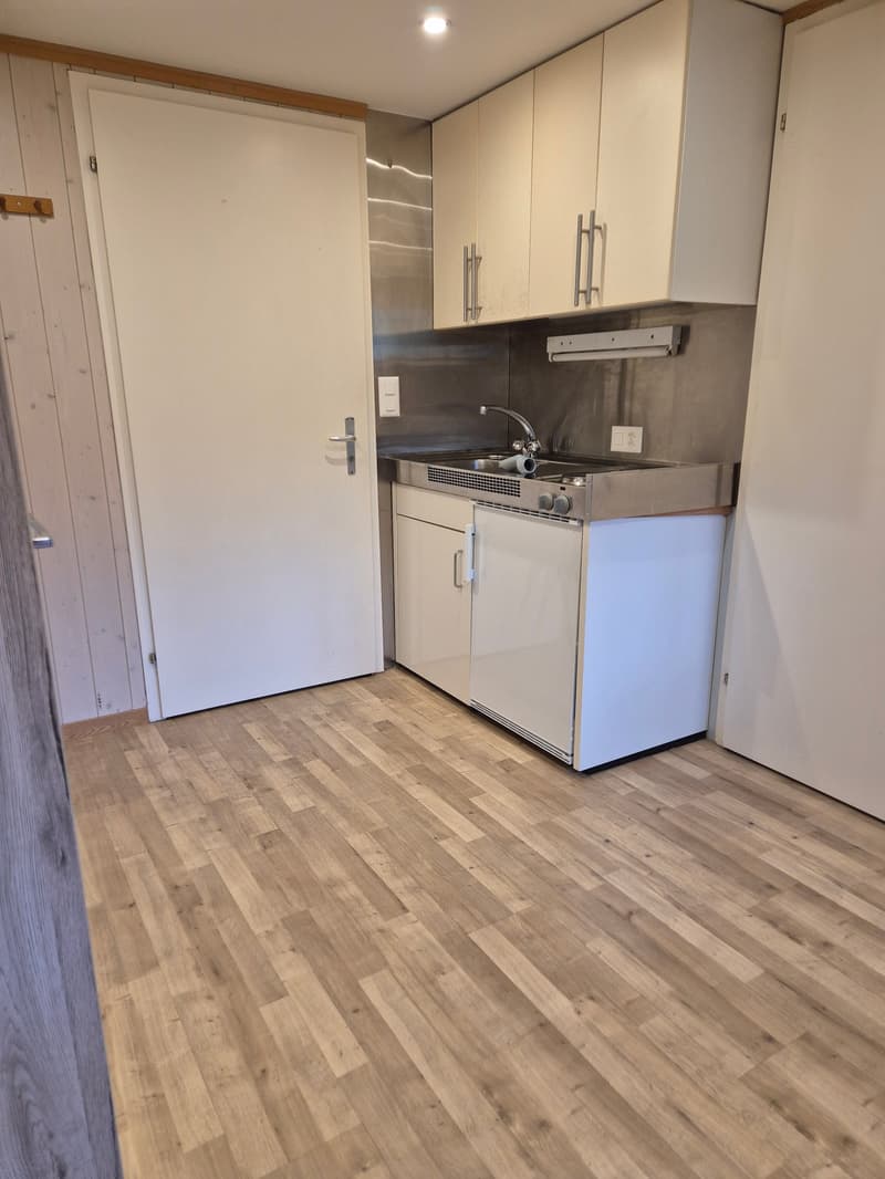 1-Zimmerwohnung an zentraler Lage (1)