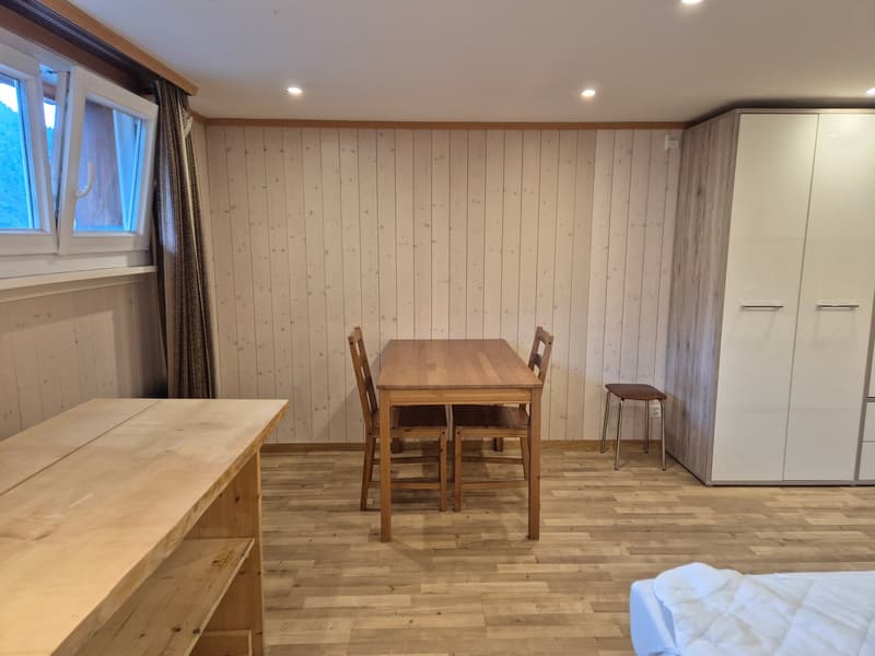 1-Zimmerwohnung an zentraler Lage (3)