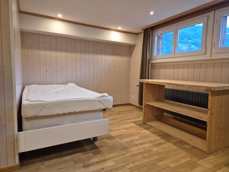 1-Zimmerwohnung an zentraler Lage (4)