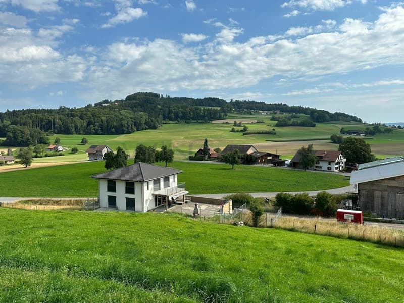 Ortsbild von Rickenbach