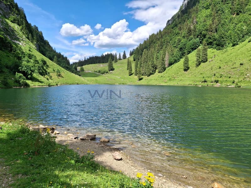 Talalpsee in Filzbach