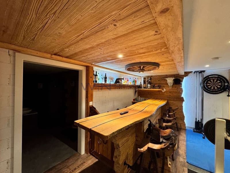Sport und Fun - Fitness/Bar