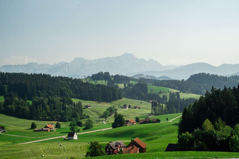 Aussicht Richtung Säntis