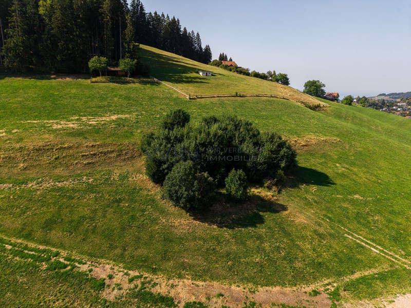 Ein freistehendes Paradies