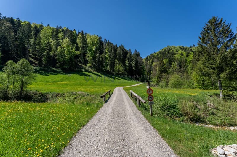 Natur im Einklang
