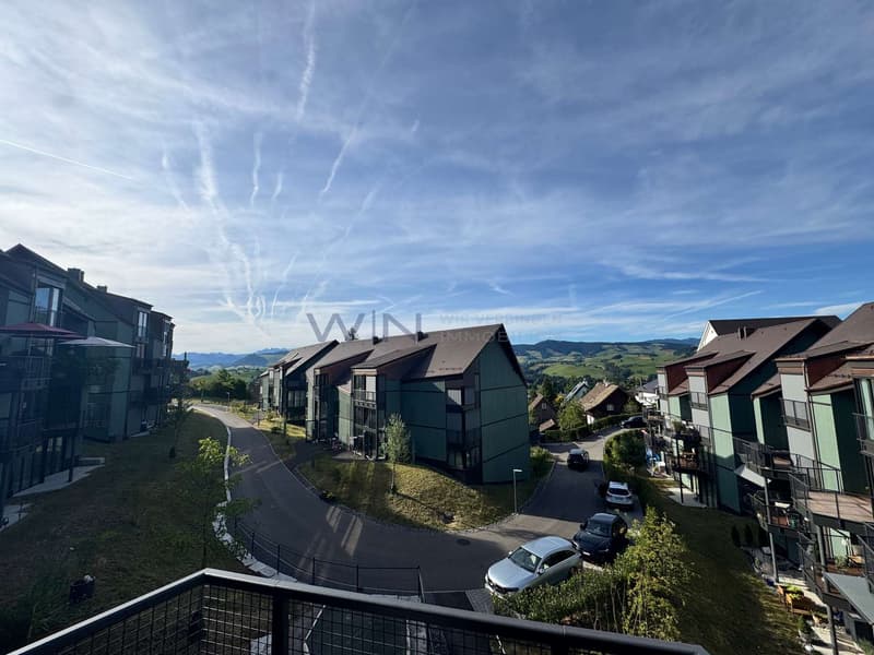 Sonnige Aussichten