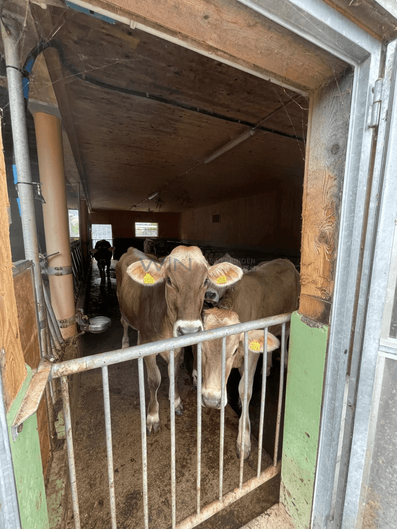 Die süssen Nachbarn