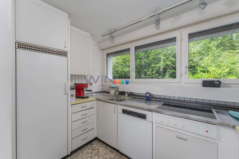Kochen im Waldfenster