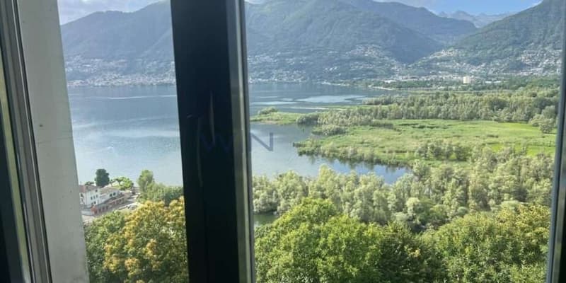 Ausblick