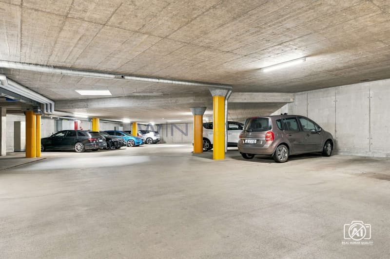 Schutz für Alles was Räder hat