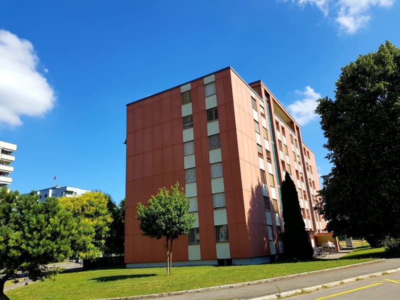 Red building, many windows, some with balconies, located on the grassy area, trees and street in front