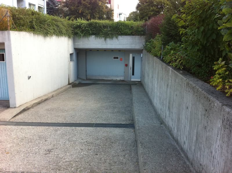 Concrete parking area with garage, plants and shrubs