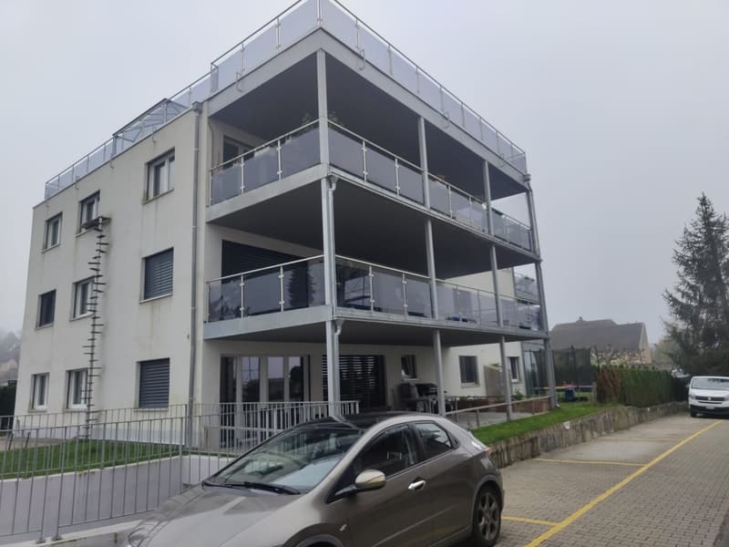 Moderne 3-Zimmer-Terrassenwohnung mit schöner Aussicht (1)