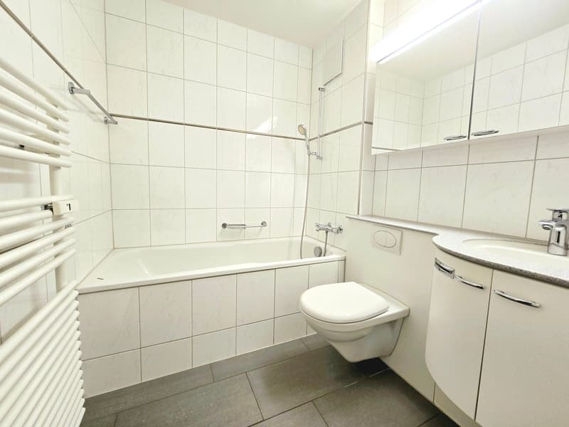 Traumhafte 5.5-Zimmerwohnung im schönen Lindenhof in Wettingen (4)