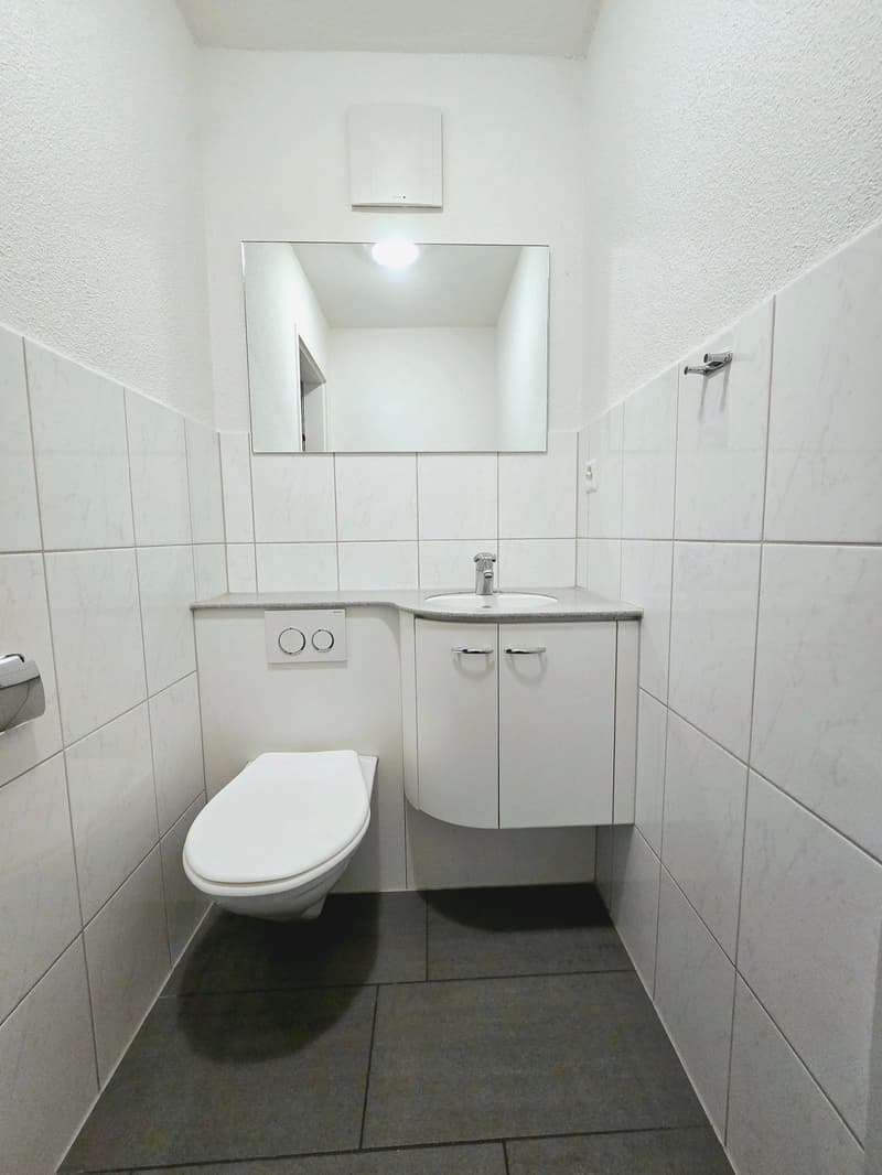 Traumhafte 5.5-Zimmerwohnung im schönen Lindenhof in Wettingen (5)