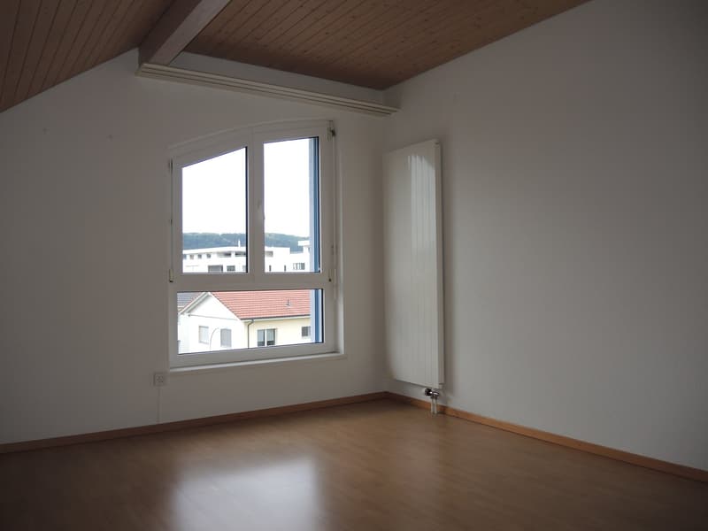 5.5-Zimmer-Attikawohnung mit grosser Terrasse und Cheminée (4)