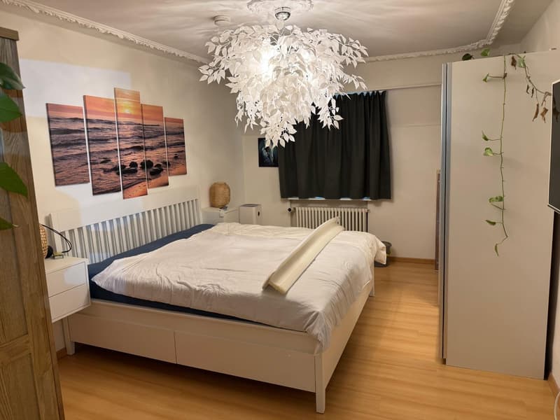 Charmante 3-Zimmer-Wohnung in Solothurn – verfügbar ab 01.10.2026 (4)