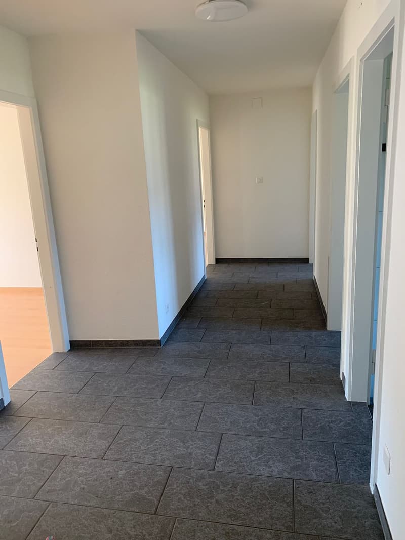 Geräumige 4.5-Zimmer-Wohnung mit Balkon in Dulliken – ab sofort verfügbar! (3)