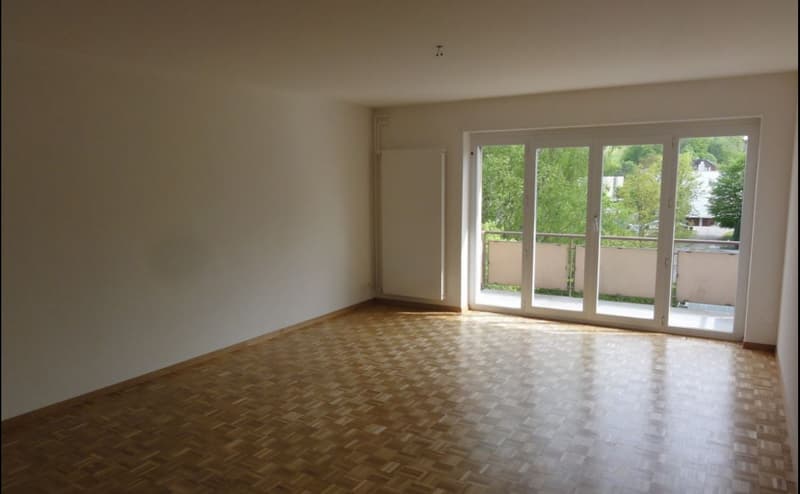 Geräumige 4.5-Zimmer-Wohnung mit Balkon in Dulliken – ab sofort verfügbar! (2)