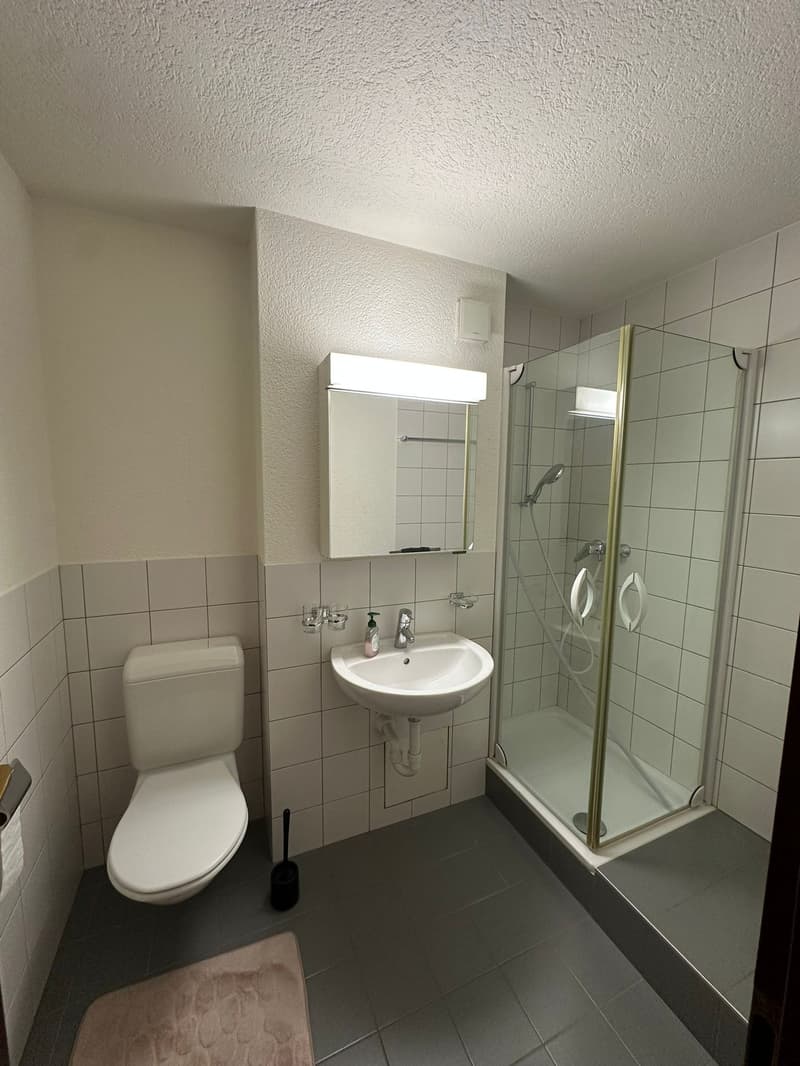 Charmante 3.5-Zimmer-Terrassenwohnung in Rothrist (6)