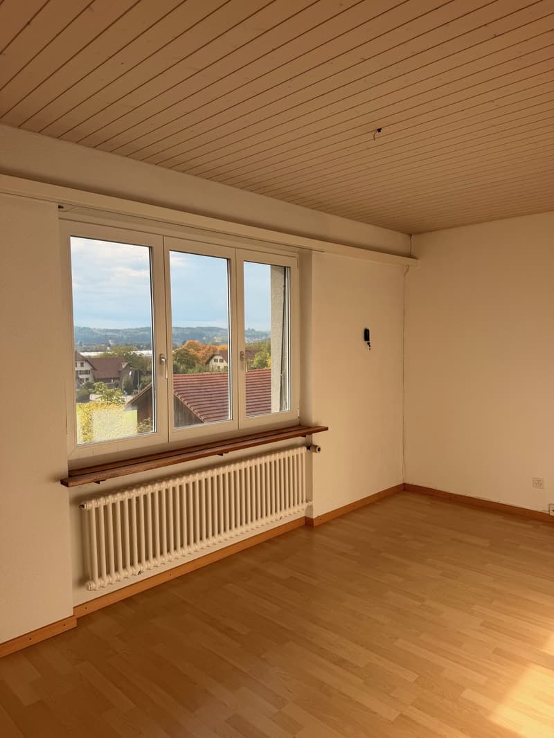 Grosszügige 4.5-Zimmer-Wohnung in Oberbuchsiten – ab sofort verfügbar! (7)