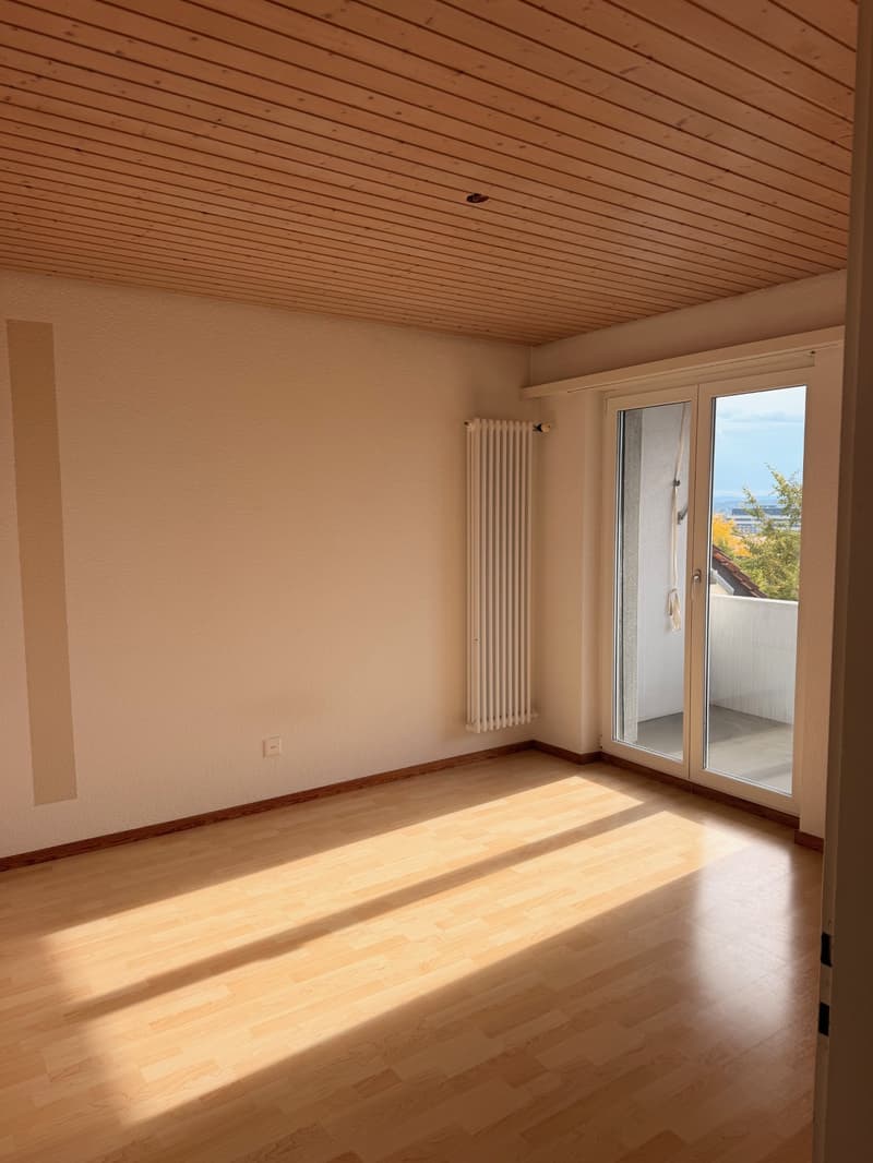 Grosszügige 4.5-Zimmer-Wohnung in Oberbuchsiten – ab sofort verfügbar! (8)
