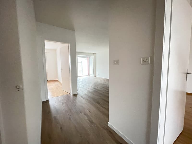 Appartamento di 3,5 locali parzialmente ristrutturato con balcone (4)