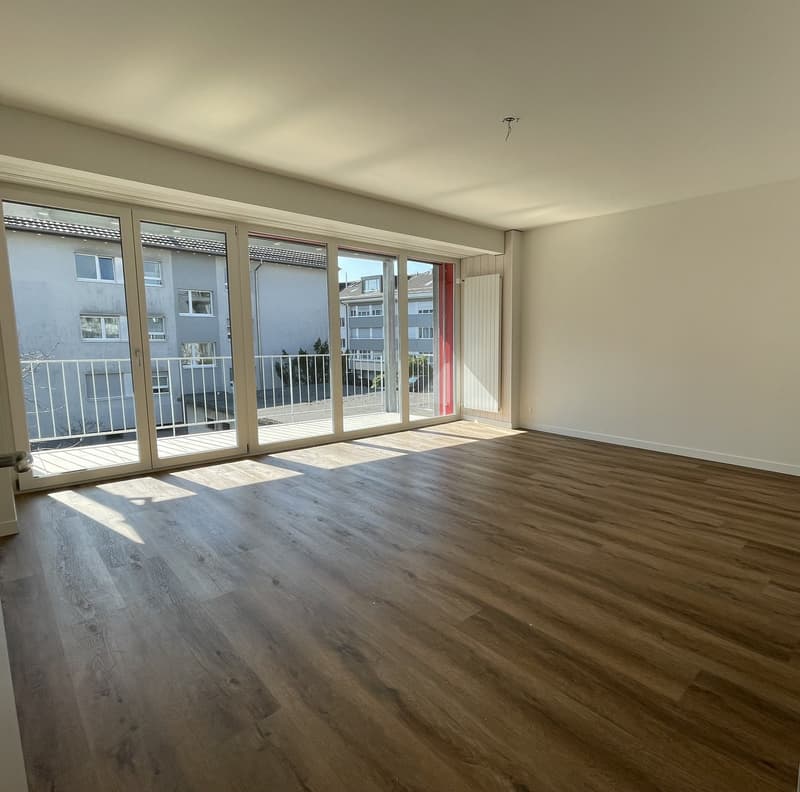 Helle, grosszügige 4-Zimmer-Wohnung an ruhiger Lage (1)