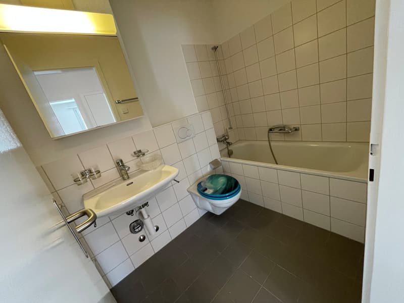 Helle, grosszügige 4-Zimmer-Wohnung an ruhiger Lage (7)