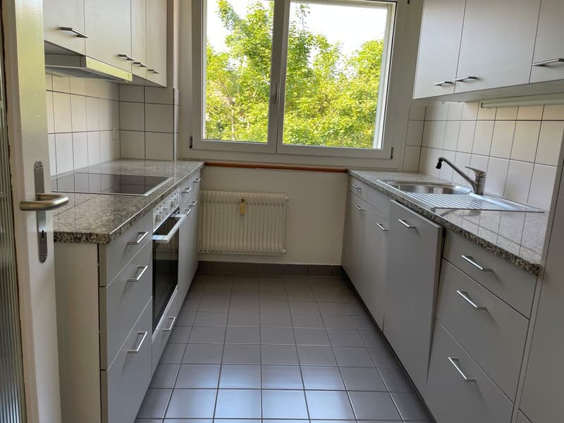Helle, grosszügige 4-Zimmer-Wohnung an ruhiger Lage (4)