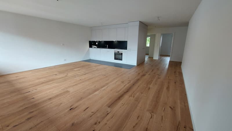 neu renovierte 4.5-Zimmer Wohnung in Sünikon  zu vermieten (2)