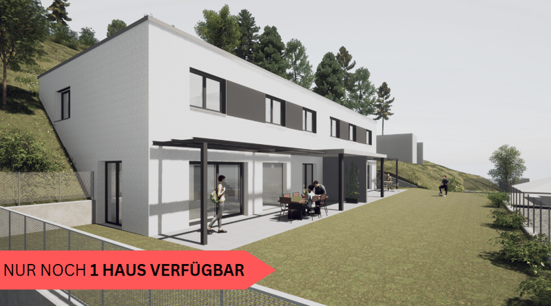 Exklusives Neubau 3.5 Zi. DEFH mit Weitblick in Lütisburg (1)