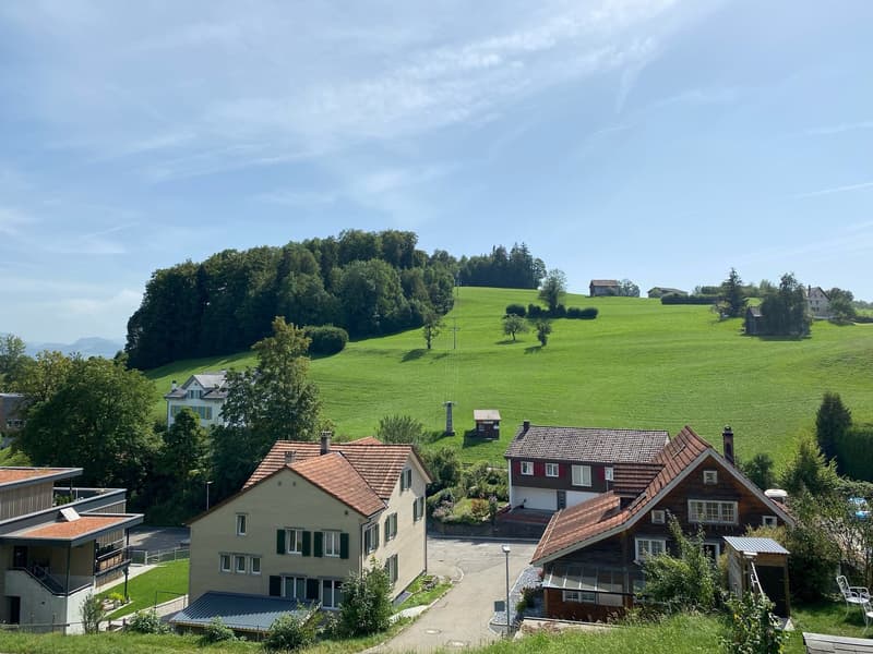Neubau mit Säntisblick – viel Platz für Ihre Wohnträume! (3)