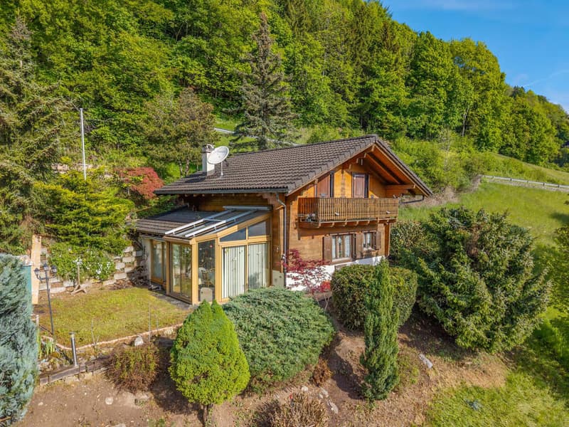 Chalet 4 pièces avec cachet et vue (1)