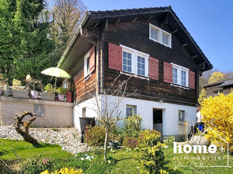 Magnifique Chalet individuel au calme avec vue dégagée (10)