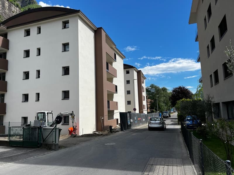 Meraviglioso appartamento di 3.5 locali (5)