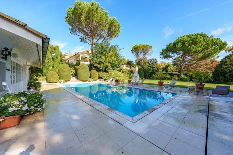 large swimming pool, stone paving, garden furniture, lounge chairs, plants, trees