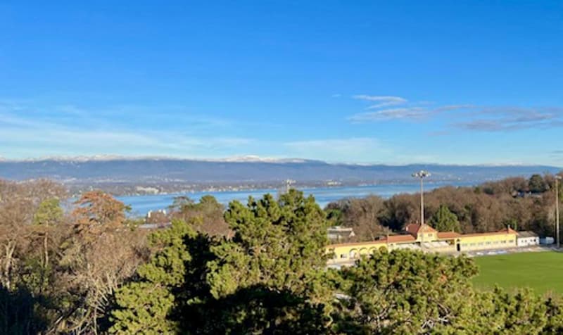 Garden with tree, water and mountains in the distance