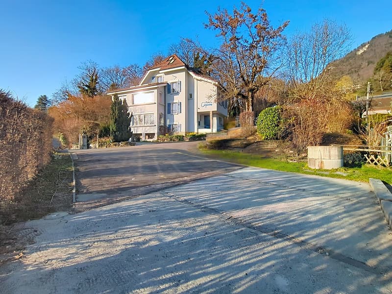 EXCLUSIF ! Villa de 12.5P rénovée avec vue sur le lac (22)