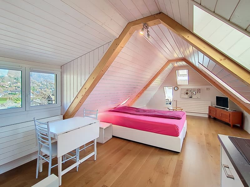 EXCLUSIF ! Villa de 12.5P rénovée avec vue sur le lac (18)