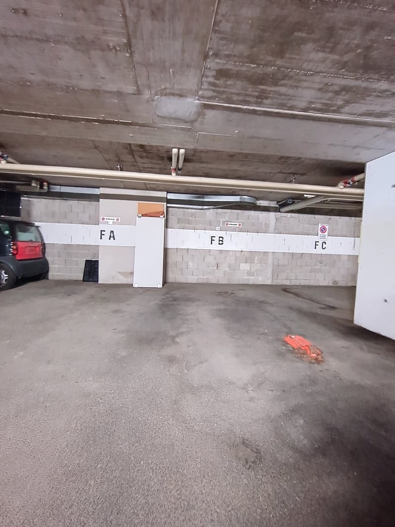 Charmant appartement en attique de 3.5 pièces à Torgon avec terrasse (9)