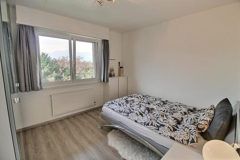 2P meublé avec balcon et dégagement sur le lac (4)