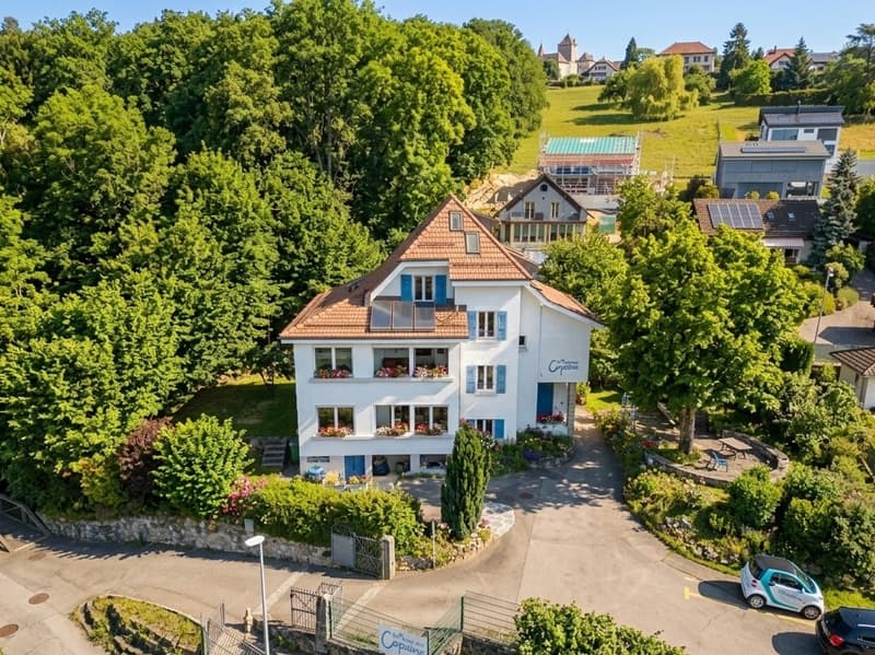 EXCLUSIF ! Villa de 12.5P rénovée avec vue sur le lac (1)