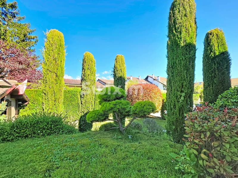 Charmante maison familiale avec piscine Chavannes des Bois (12)