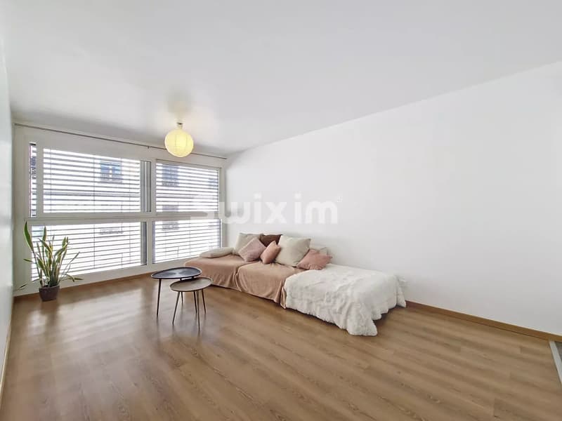 Superbe 4,5 pièces meublé Genève Centre (3)