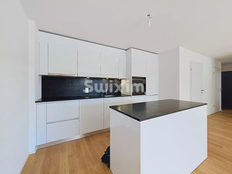 Superbe 3,5 pièces 97 m² Minergie à 2 pas du lac (2)