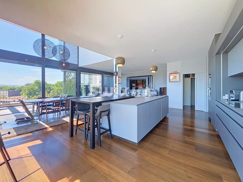 Loft en attique aux prestations uniques (2)