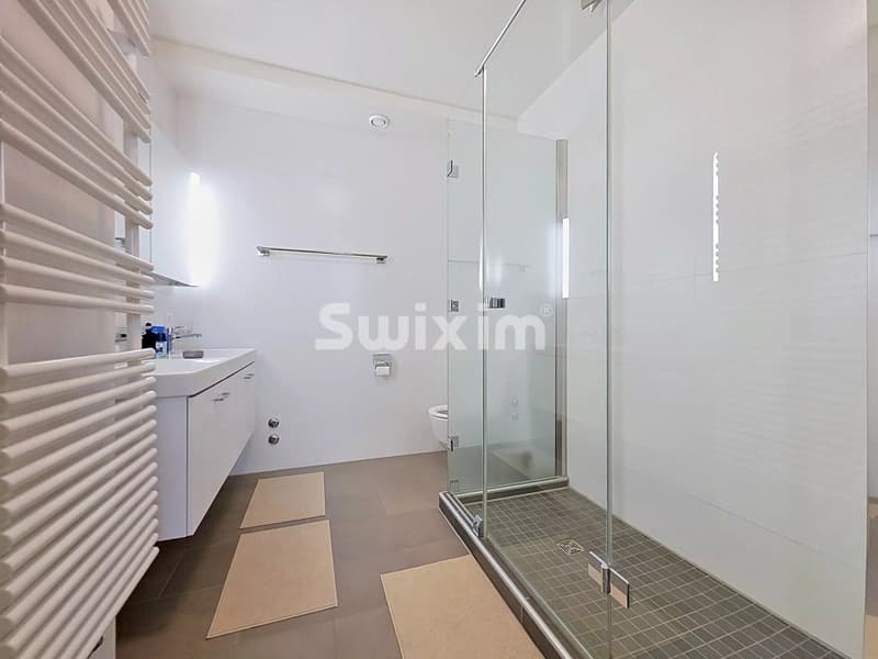 Superbe appartement classique vieille ville Genève (7)