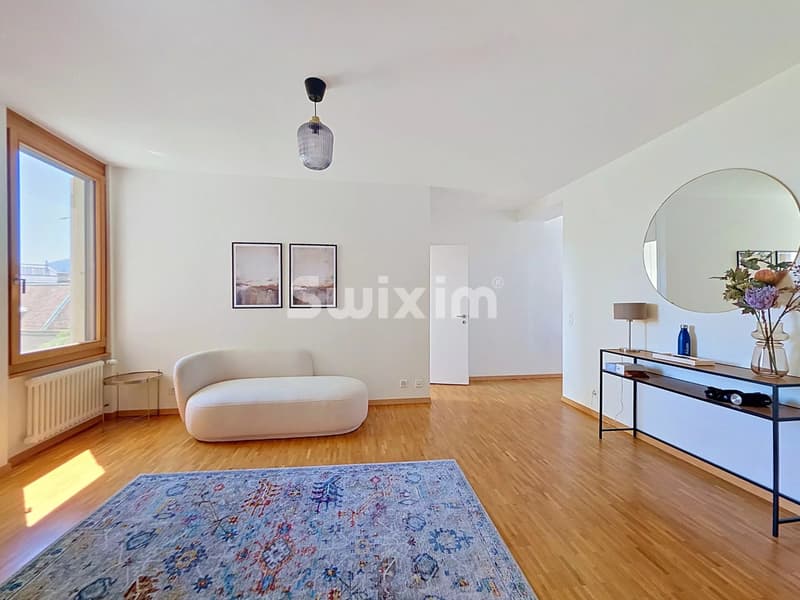 Superbe appartement classique vieille ville Genève (8)
